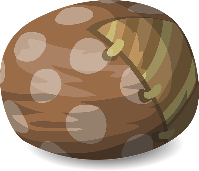 bean bag